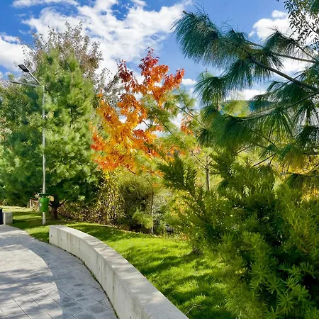 Retro La - Aviatiei Park - Parking - Netflix - Private Garden * Bukarest
