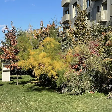 Retro La - Aviatiei Park - Parking - Netflix - Private Garden Apartment *