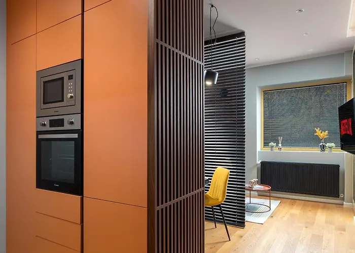 Retro La - Aviatiei Park - Parking - Netflix - Private Garden * Bucureşti