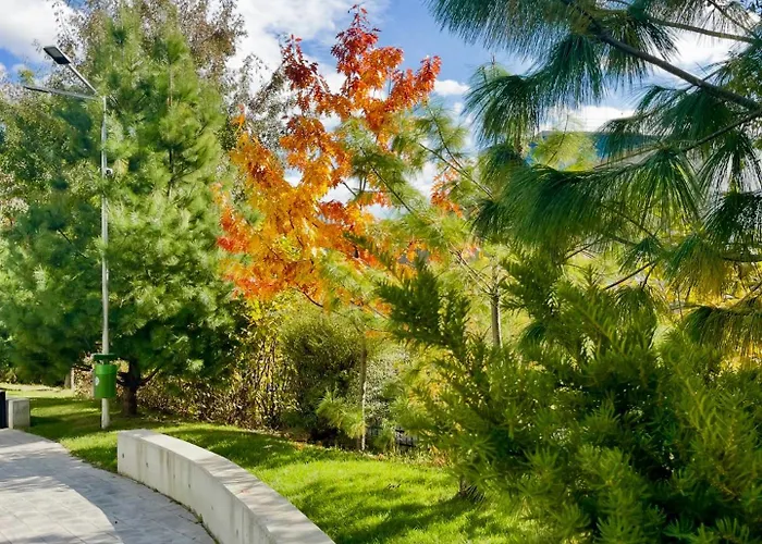 Retro La - Aviatiei Park - Parking - Netflix - Private Garden * Bucureşti