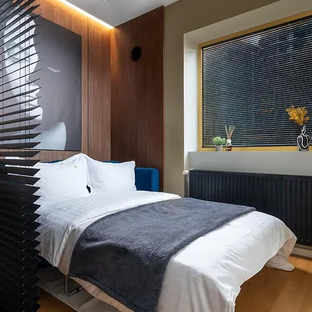 Apartment Retro La - Aviatiei Park - Parking - Netflix - Private Garden Bucharest